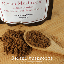 Reishi mushroom, AKA the “Mushroom of Immortality”